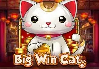 Big Win Cat